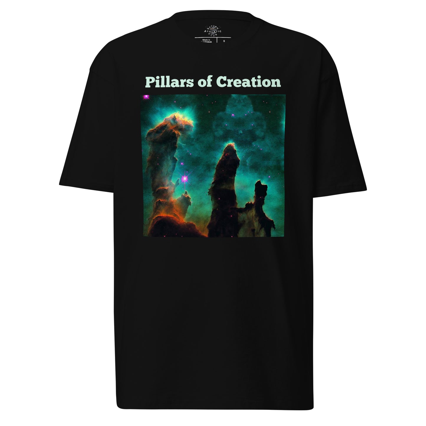 Star Birth Pillars of Creation - Men’s premium heavyweight tee